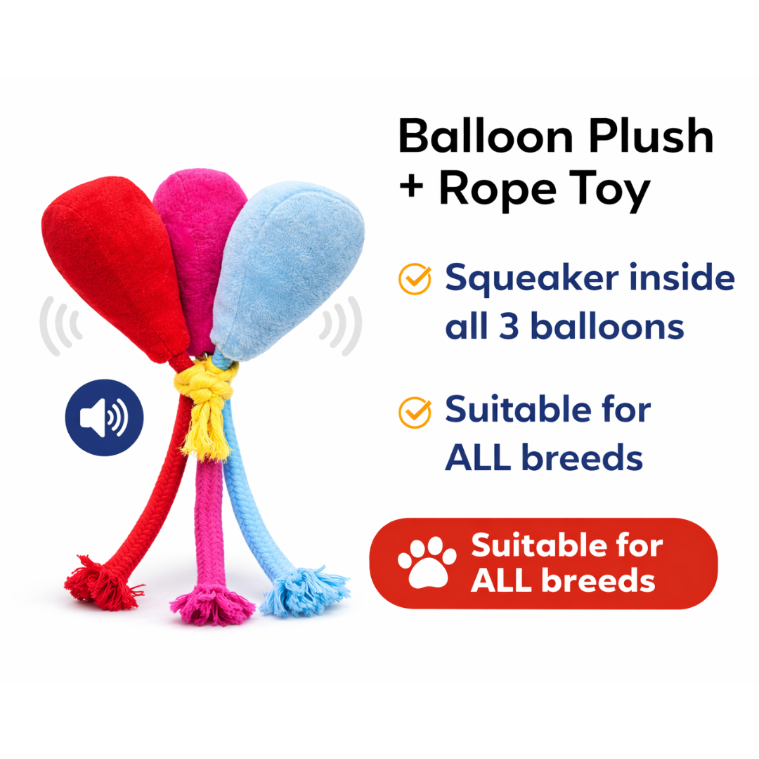 Pawgy Pets Balloon Doggo Plush + Rope Toy