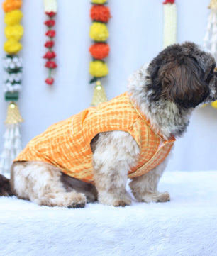 Pawgy Pets Tie & Dye kurta Yellow Orange for Dogs