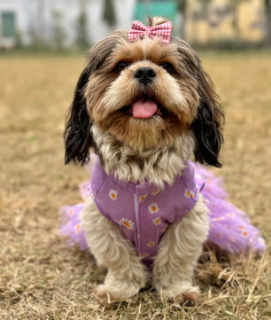Pawgy Pets Frilly Dress Purple for Dogs