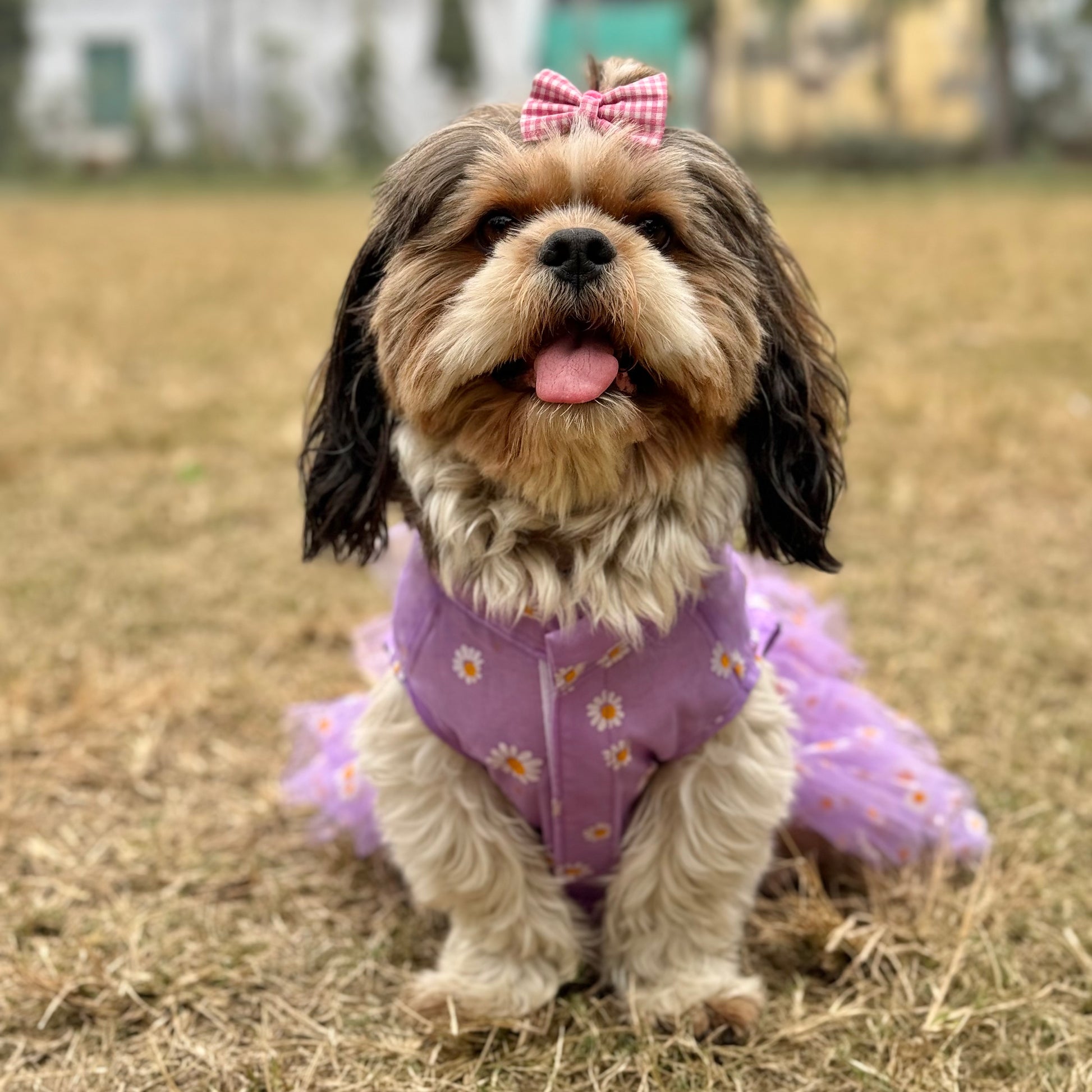 Pawgy Pets Frilly Dress Purple for Dogs