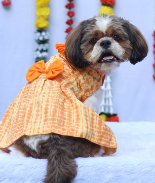 Pawgy Pets Tie and Die Orange-Yellow Dress for Dogs