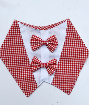 Pawgy Pets Casual Check Bandana: Red for Dogs & Cats