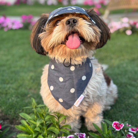 Pawgy Pets Polka Denim Bandana for Dogs & Cats