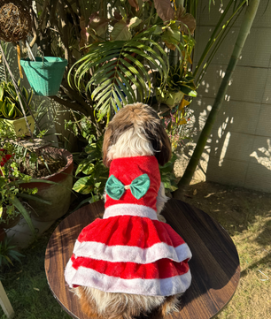 Pawgy Pets Christmas Dress