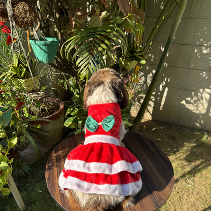 Christmas Dress | For Dogs | Pawgy Pets