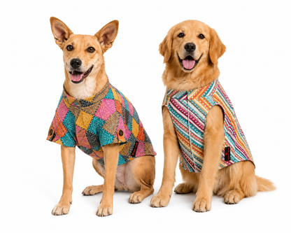 Multi Lehriya & Bandani Kurta Set | Pack of 2 | Pawgy Pets