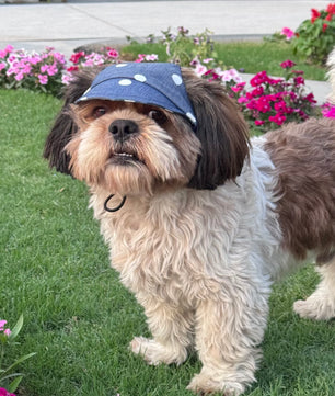 Pawgy Pets Dog Cap: Denim Polka for Dog & Cats