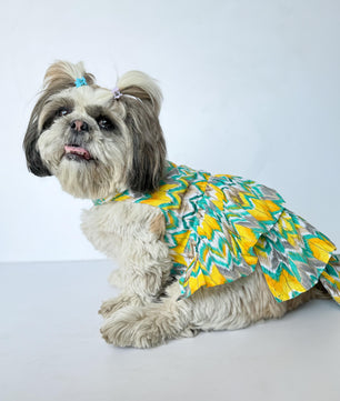 Pawgy Pets Zig-Zag Dress Green for Dogs