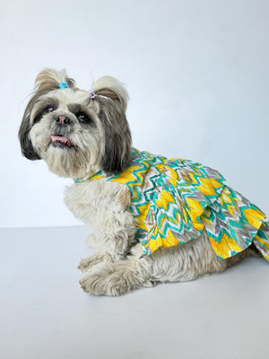 Green Zig-Zag Dress | For Dogs | Pawgy Pets