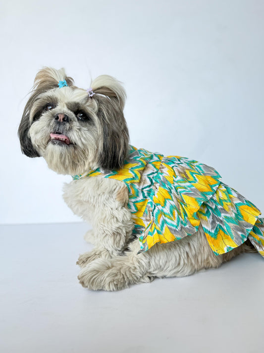 Pawgy Pets Zig-Zag Dress Green for Dogs