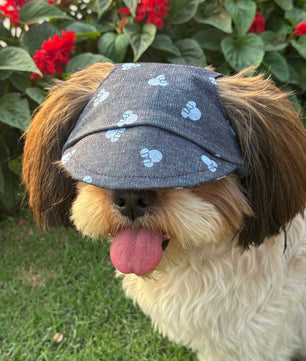 Pawgy Pets Dog Cap: Denim Minnie for Dog & Cats