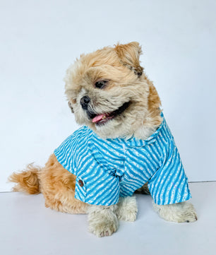Pawgy Pets Lehriya Kurta: Blue for Dogs