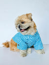 Blue Lehriya Kurta | For Dogs | Pawgy Pets