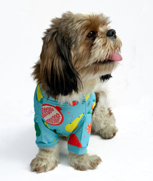 Pawgy Pets T-shirt Fruitylicious Blue for Dogs & Cats