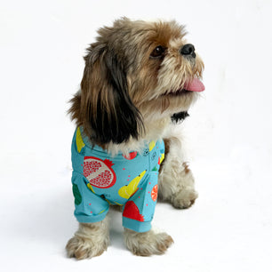 Pawgy Pets T-shirt Fruitylicious Blue for Dogs & Cats