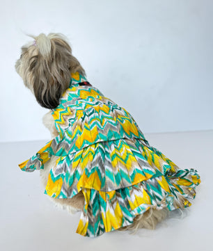 Pawgy Pets Zig-Zag Dress Green for Dogs