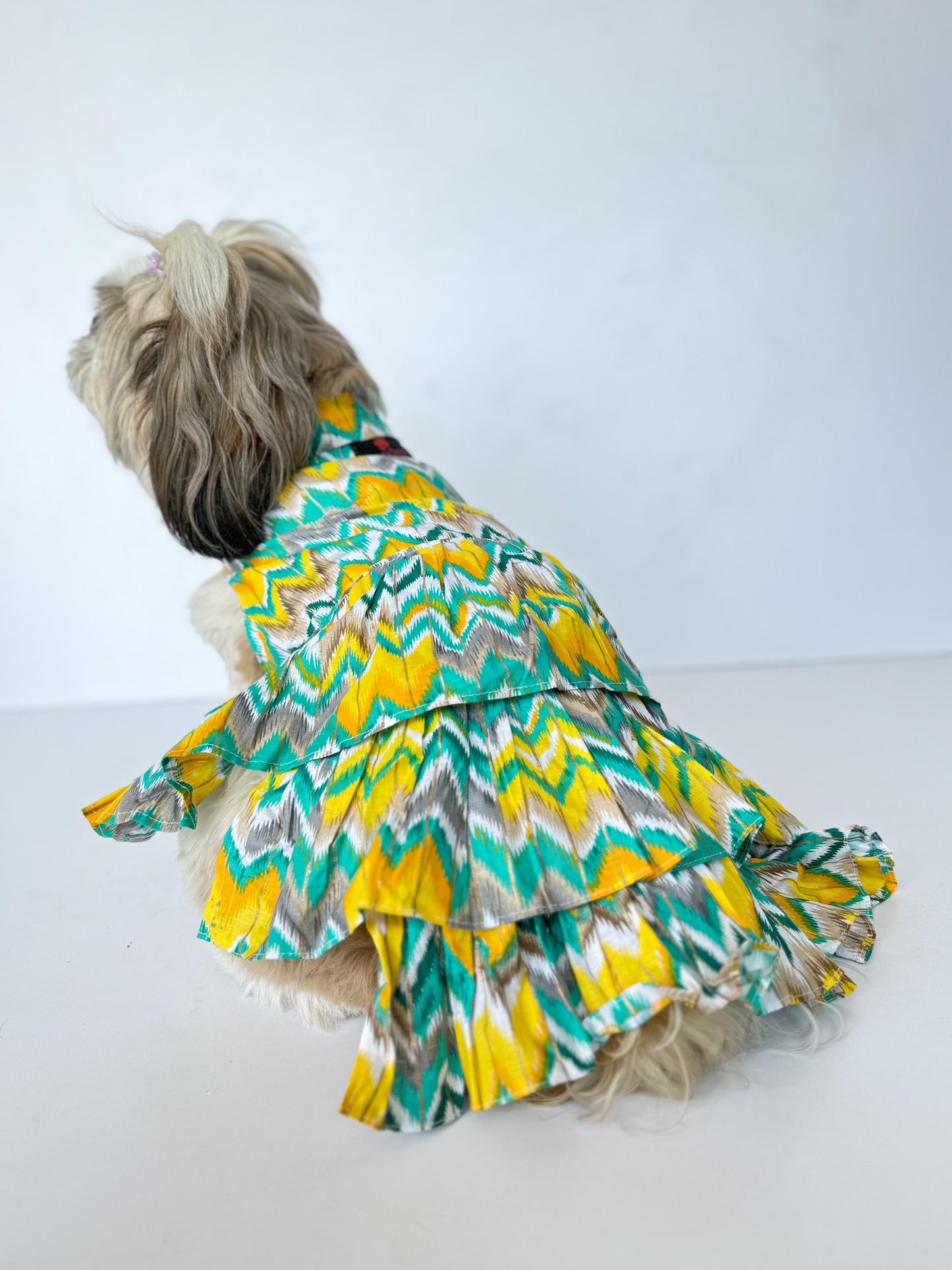 Pawgy Pets Zig-Zag Dress Green for Dogs