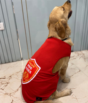 Pawgy Pets Punjab Paw Kings T-shirt for Dogs and Cats