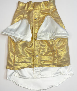 South Indian Traditional Kasavu Kurta Set for Dogs and Cats
