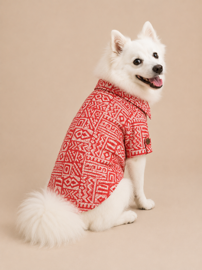 Rust Cotton Kurta | For Dogs | Pawgy Pets