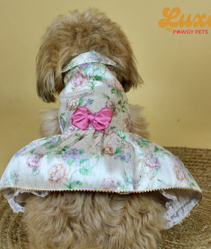 Luxe by Pawgy Pets Floral Dress White