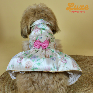 Luxe by Pawgy Pets Floral Dress White