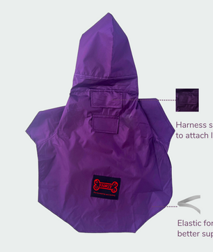 Raincoat: Purple