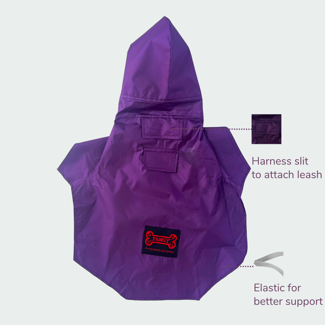 Purple Raincoat | For Dogs | Pawgy Pets