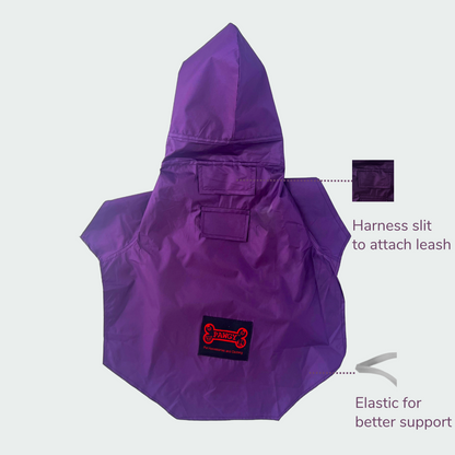 Purple Raincoat | For Dogs | Pawgy Pets