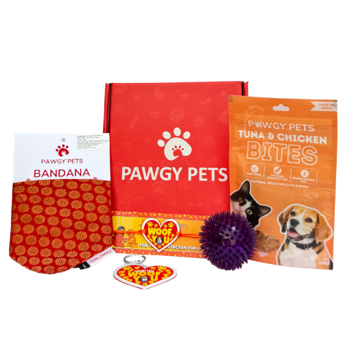Pawgy Pets Raksha Bandhan Gift Hamper with Bandana