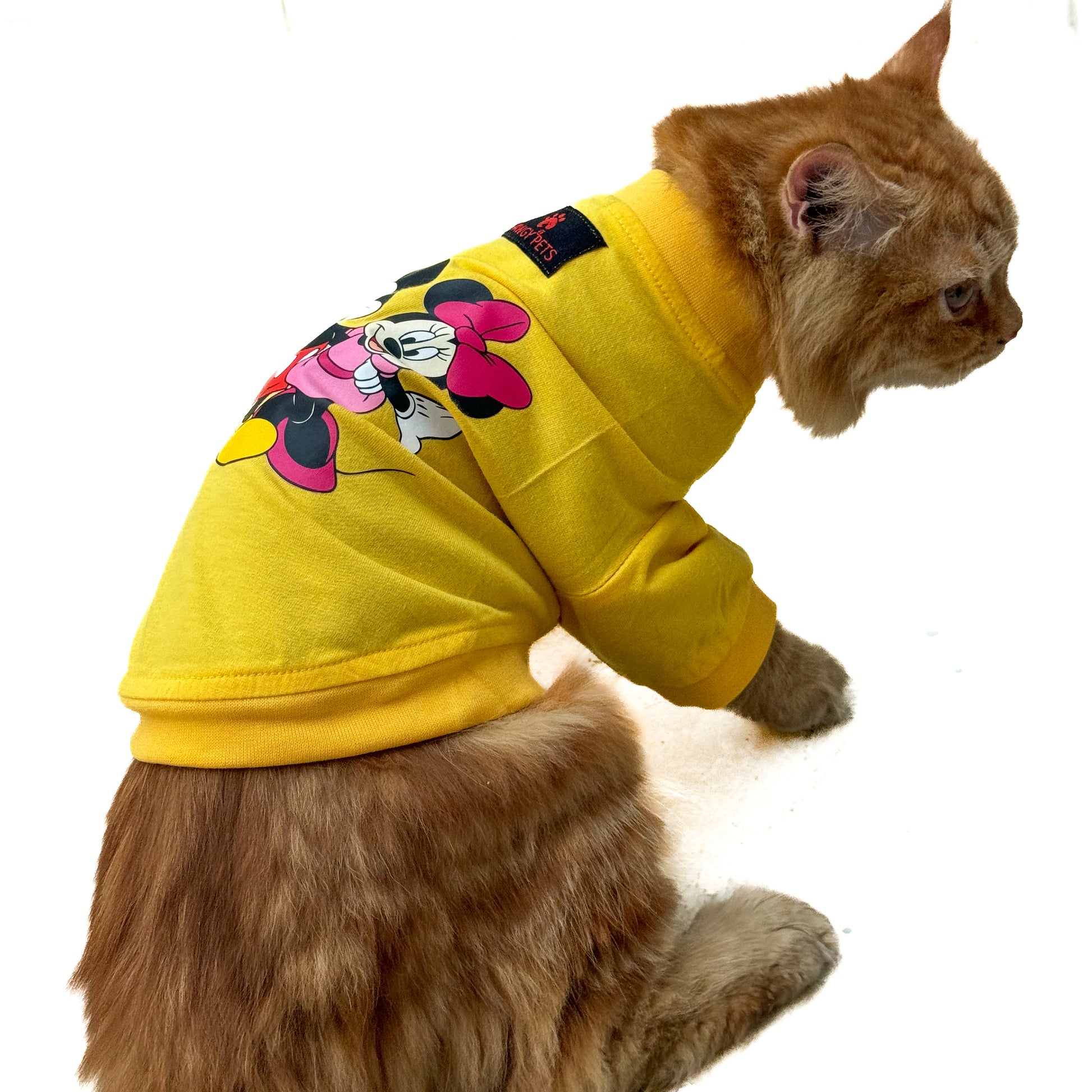 Pawgy Pets T-shirt for Cats