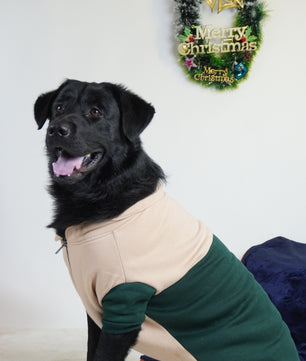 Pawgy Pets Hoodie Pet Sweatshirt - Olive green & Beige