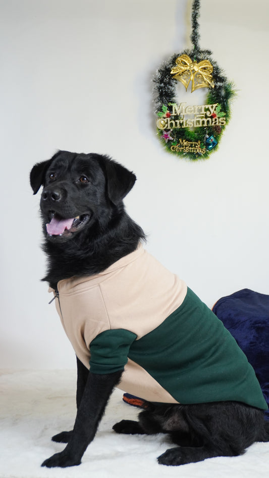 Pawgy Pets Hoodie Pet Sweatshirt - Olive green & Beige