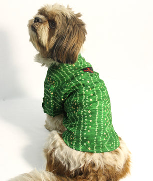 Pawgy Pets Green Bandani kurta for Dogs