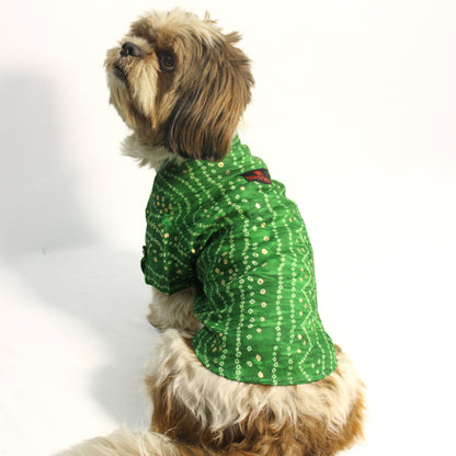 Green Bandani Kurta | For Dogs | Pawgy Pets
