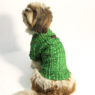 Pawgy Pets Green Bandani kurta for Dogs