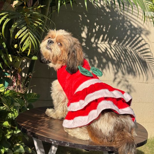 Pawgy Pets Christmas Dress