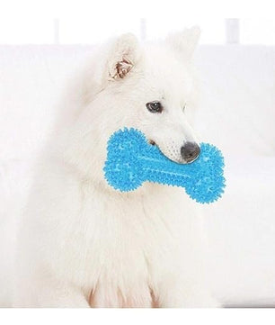 Pawgy Pets Dog Spike Squeaky Bone Chew Toy for Dogs (Random Colour)