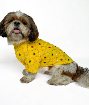 Pawgy Pets Festive Shirt Yellow for Dogs