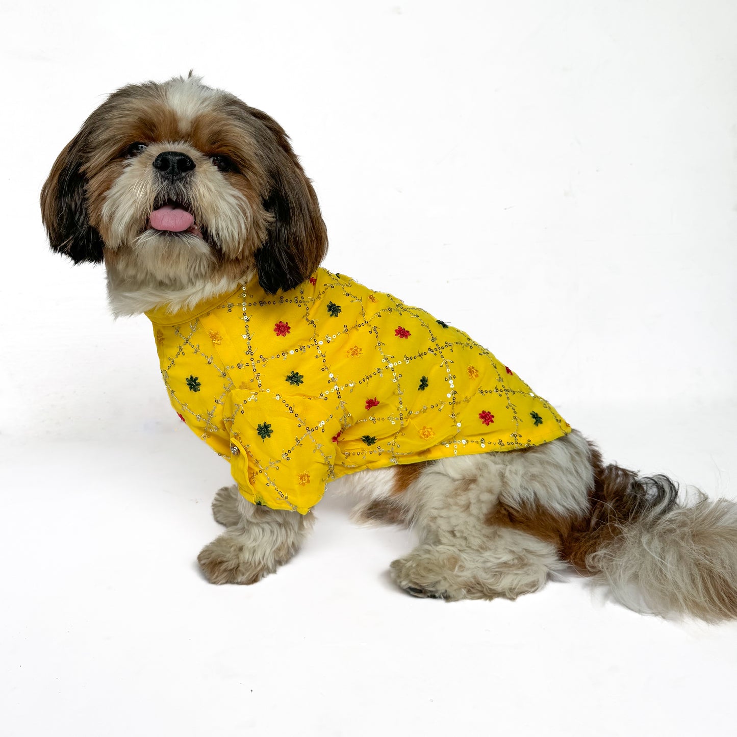 Yellow Festive Shirt | For Dogs | Pawgy Pets