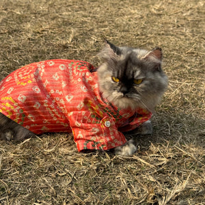 Peach Silk Kurta | For Cats | Pawgy Pets