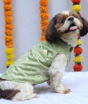 Pawgy Pets Pastel Green Shahi Kurta for Dogs