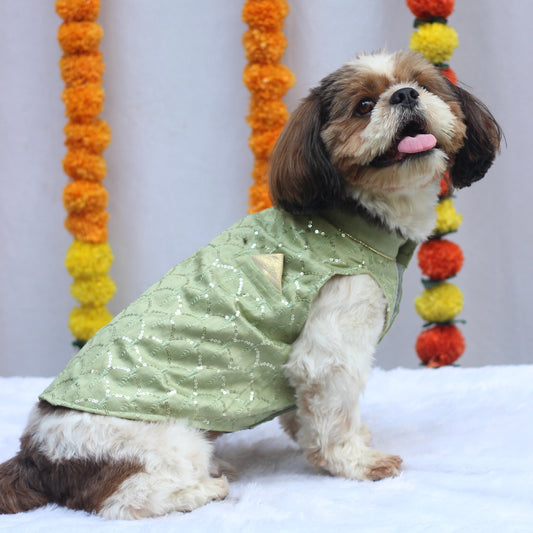 Pawgy Pets Pastel Green Shahi Kurta for Dogs