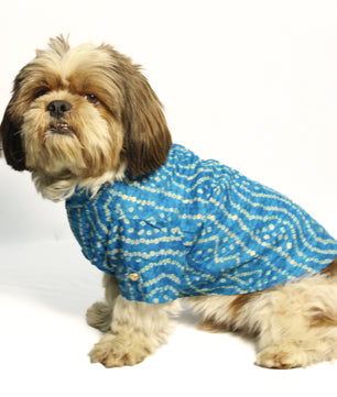 Pawgy Pets Blue Bandani kurta for Dogs