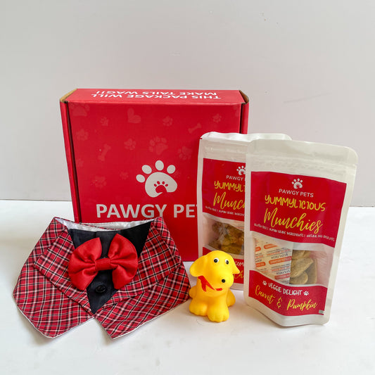 Pawgy Pets Gift Box Mini for Dogs & Cats