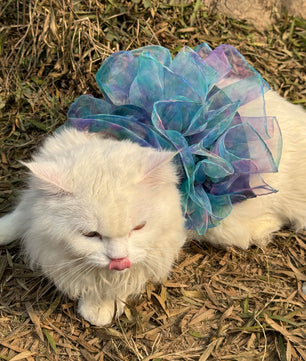 Pawgy Pets Frilly Dress: Blue Tie&Dye for Cats