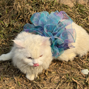 Pawgy Pets Frilly Dress: Blue Tie&Dye for Cats