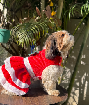 Pawgy Pets Christmas Dress