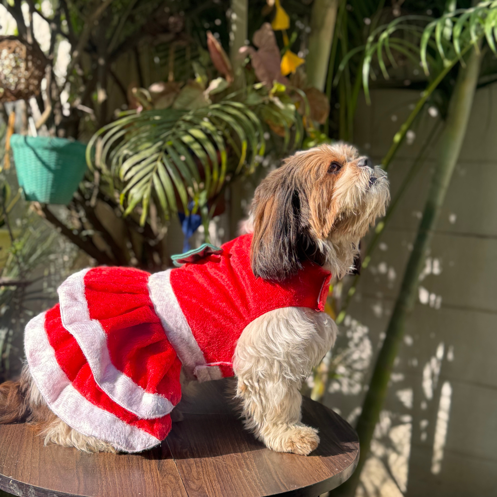 Pawgy Pets Christmas Dress