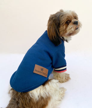 Pawgy Pets Candy blue Sweatshirt for Dogs & Cats